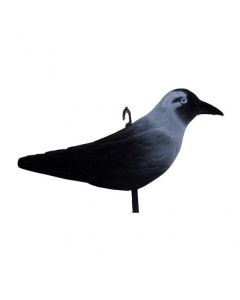 Lokvogel Kauw geflockt 32cm