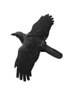 Lokvogel vliegende kraai geflockt 44x80cm incl. metalen pen
